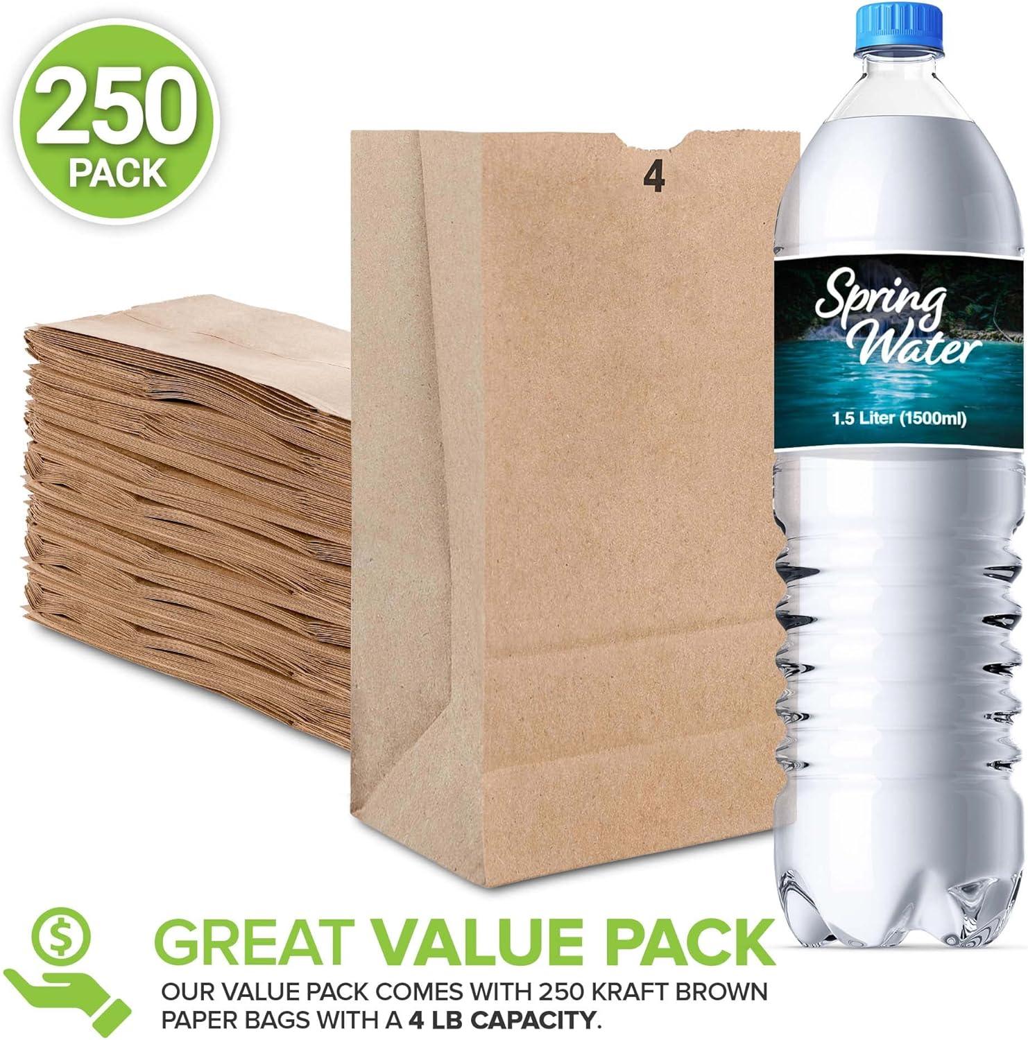 imageStock Your Home 4 Lb Kraft Brown Paper Lunch Bags 500 Count Bulk Disposable Lunch Sacks Small Size Blank Bag for Kids Good for a Snack Sandwich Grocery Food and Arts amp Crafts ProjectsBrown