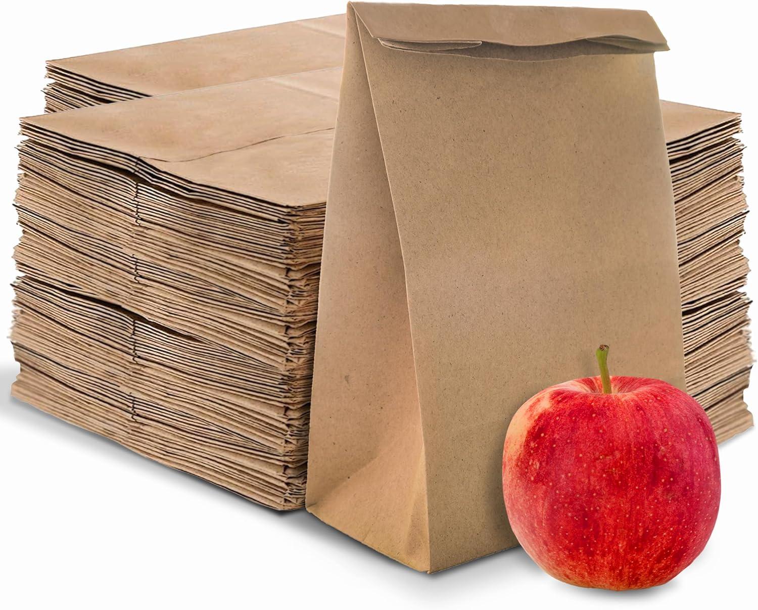 imageStock Your Home 4 Lb Kraft Brown Paper Lunch Bags 500 Count Bulk Disposable Lunch Sacks Small Size Blank Bag for Kids Good for a Snack Sandwich Grocery Food and Arts amp Crafts ProjectsBrown