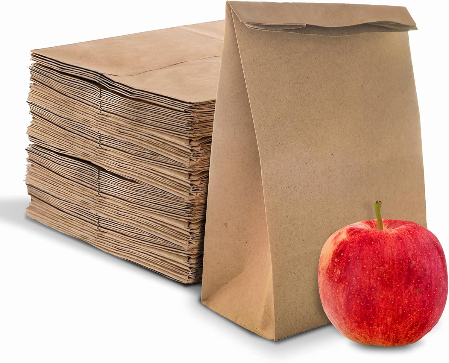 imageStock Your Home 4 Lb Kraft Brown Paper Lunch Bags 500 Count Bulk Disposable Lunch Sacks Small Size Blank Bag for Kids Good for a Snack Sandwich Grocery Food and Arts amp Crafts ProjectsBrown