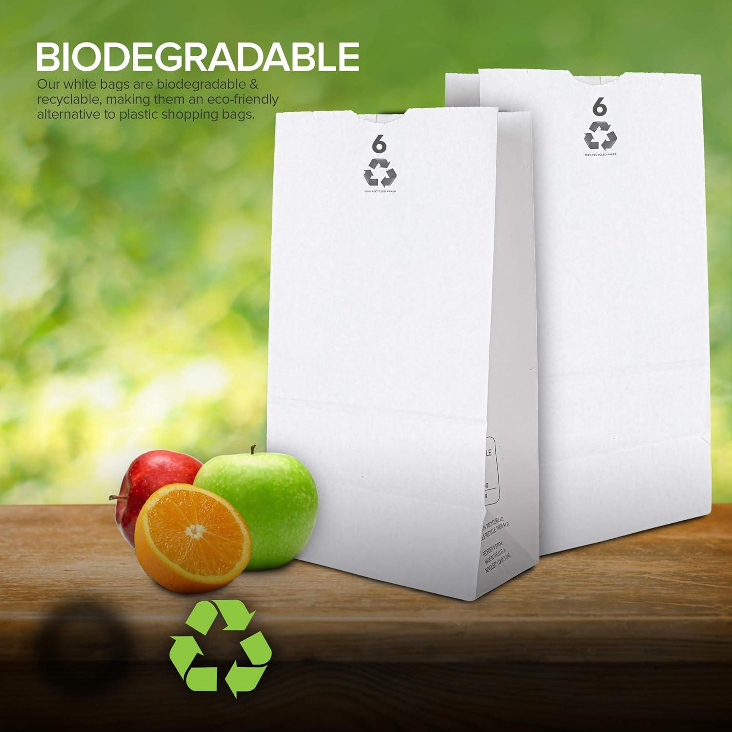imageStock Your Home 6 Lb Lunch Bags 200 Count Eco Friendly Small Bags for Packing Lunch amp Snacks Blank Bags for Arts amp Crafts Projects6 lb 200 Count