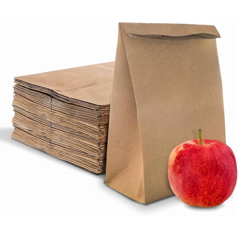 imageStock Your Home 4 Lb Kraft Brown Paper Lunch Bags 500 Count Bulk Disposable Lunch Sacks Small Size Blank Bag for Kids Good for a Snack Sandwich Grocery Food and Arts amp Crafts ProjectsBrown