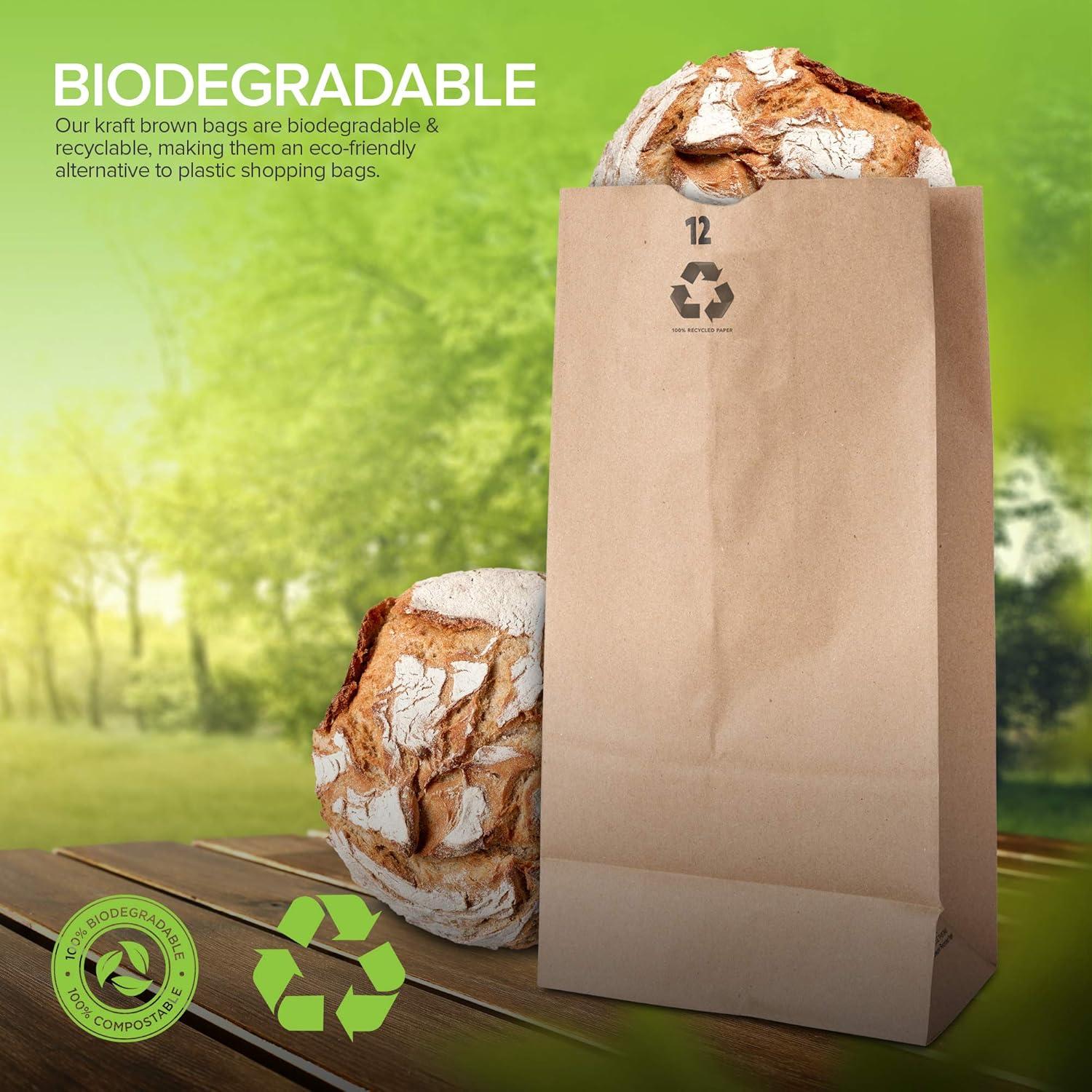 imageStock Your Home 12 Lb Kraft Big Brown Paper Lunch Bags 100 Count Bulk Disposable Lunch Sacks Large Size Blank Bag Good for Snacks Sandwiches Grocery Food and Arts amp Crafts Projects100