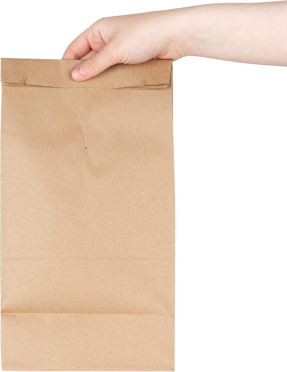 imageStock Your Home 12 Lb Kraft Big Brown Paper Lunch Bags 100 Count Bulk Disposable Lunch Sacks Large Size Blank Bag Good for Snacks Sandwiches Grocery Food and Arts amp Crafts Projects100