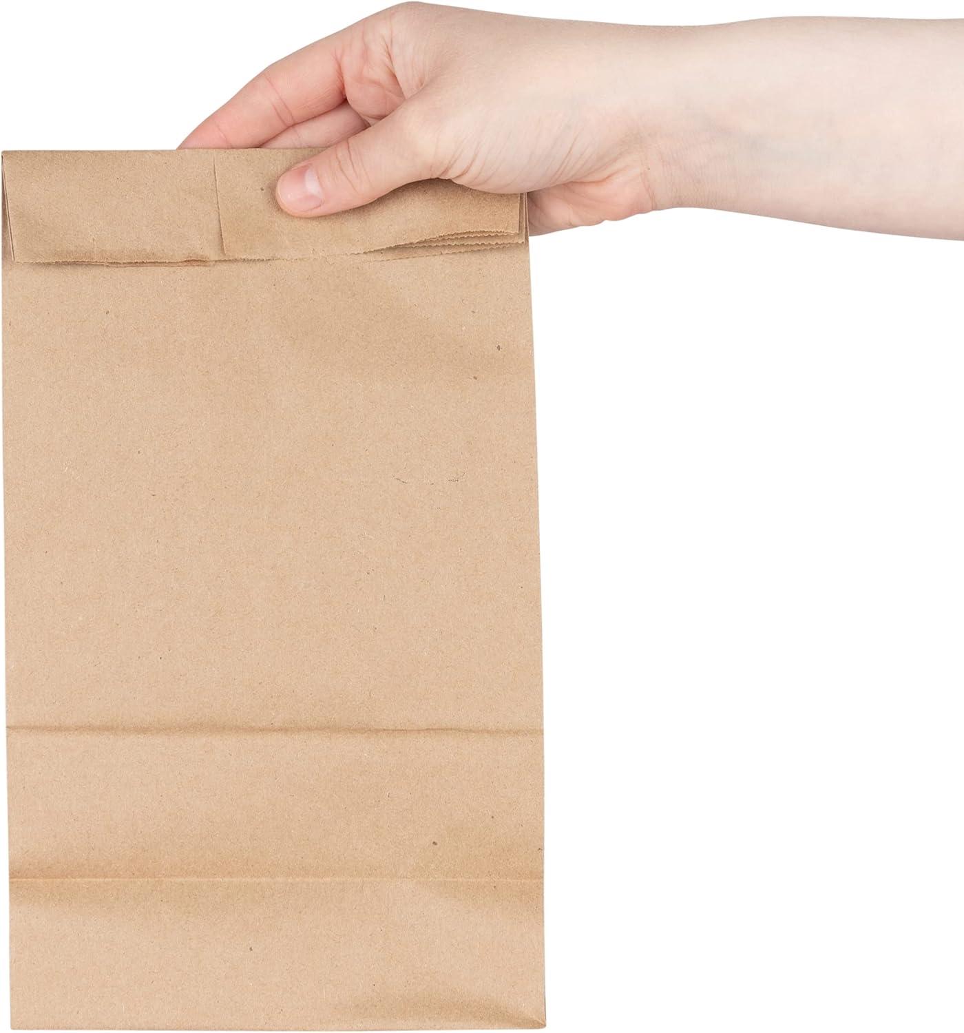 imageStock Your Home 12 Lb Kraft Big Brown Paper Lunch Bags 100 Count Bulk Disposable Lunch Sacks Large Size Blank Bag Good for Snacks Sandwiches Grocery Food and Arts amp Crafts Projects200