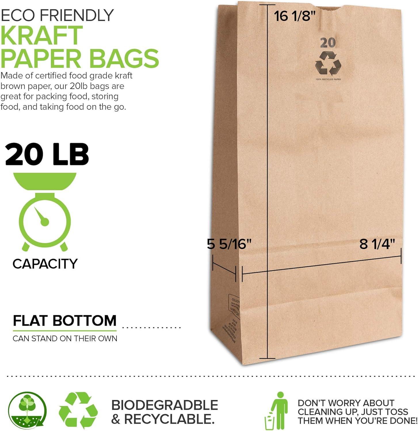 imageStock Your Home 20 Lb Kraft Big Brown Paper Bags 100 Count Bulk Disposable Liquor Bottle Sacks Extra Large Size Blank Bag Good for Big Lunch Grocery Food Shopping and Arts amp Crafts Projects100