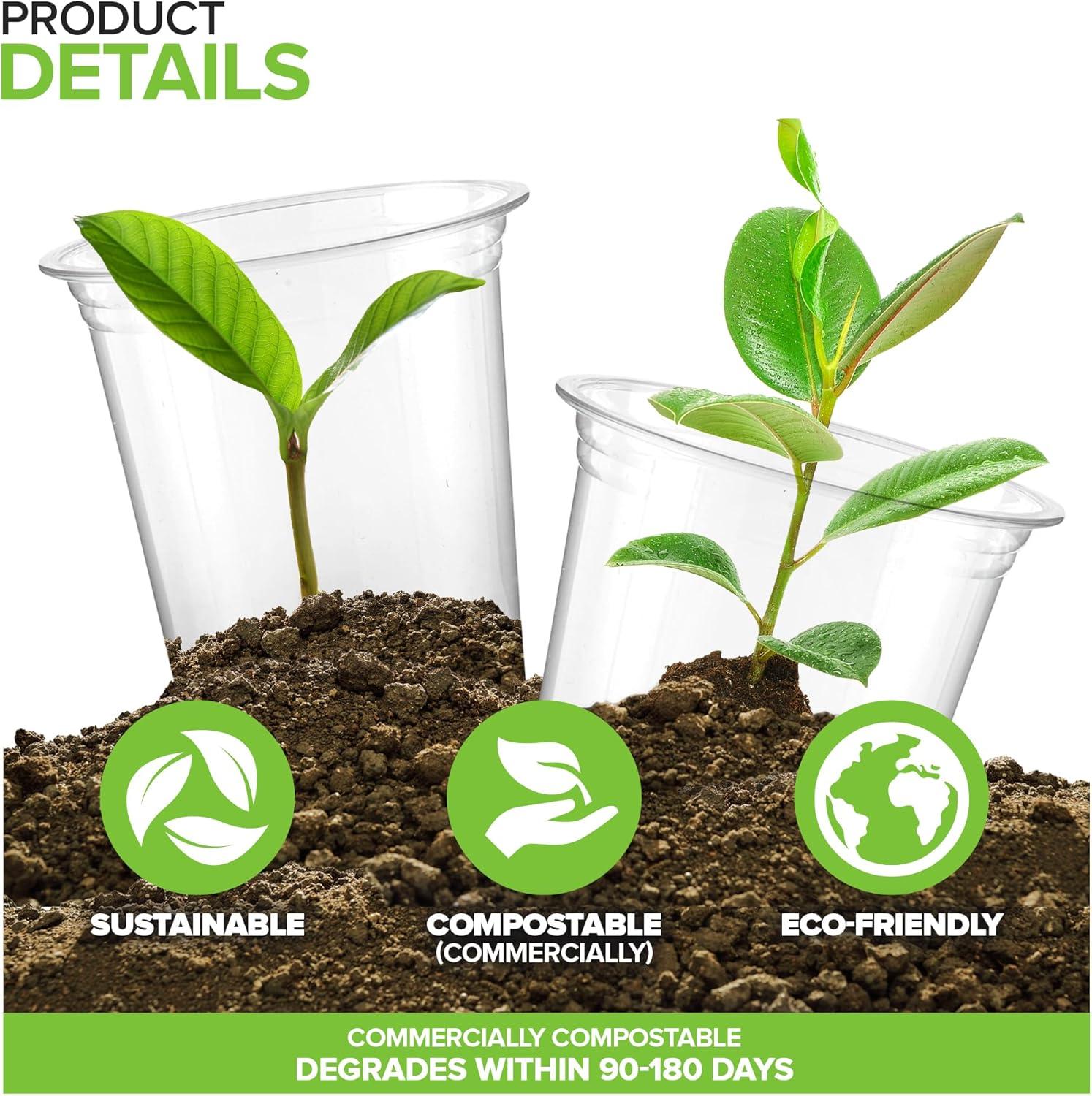 Stock Your Home 16 oz Clear Commercially Compostable Cold Cups (50 Pack ...