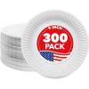 300 Count (Pack of 1)