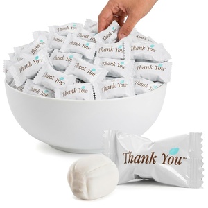 Stock Your Home Thank You Buttermints, Approx. 250 Count — Individually Wrapped Butter Mints, Soft Creamy Mint Candy, Kosher, Made in USA, Perfect for Parties, Weddings, and Hospitality(250 Count)